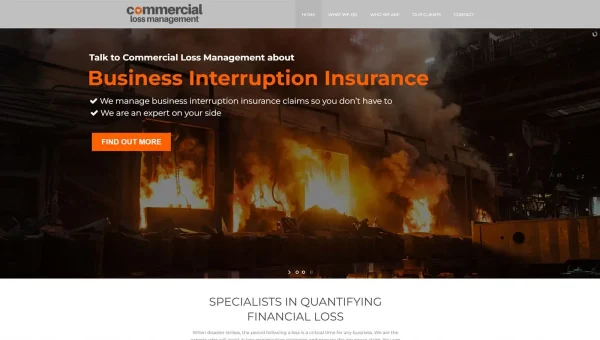 project-commercial-loss-management